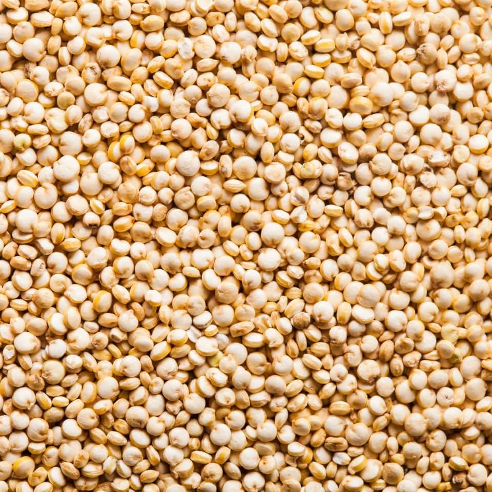 Quinoa white Seeds