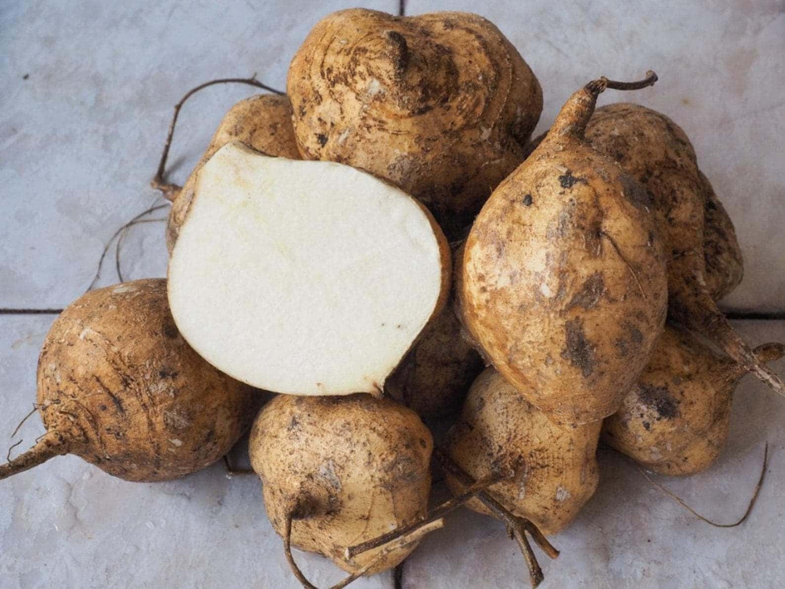 Yam Bean (Jicama) Seeds