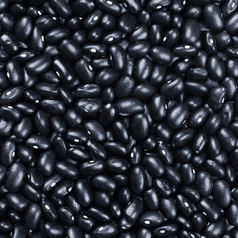 Black rajma beans Seeds