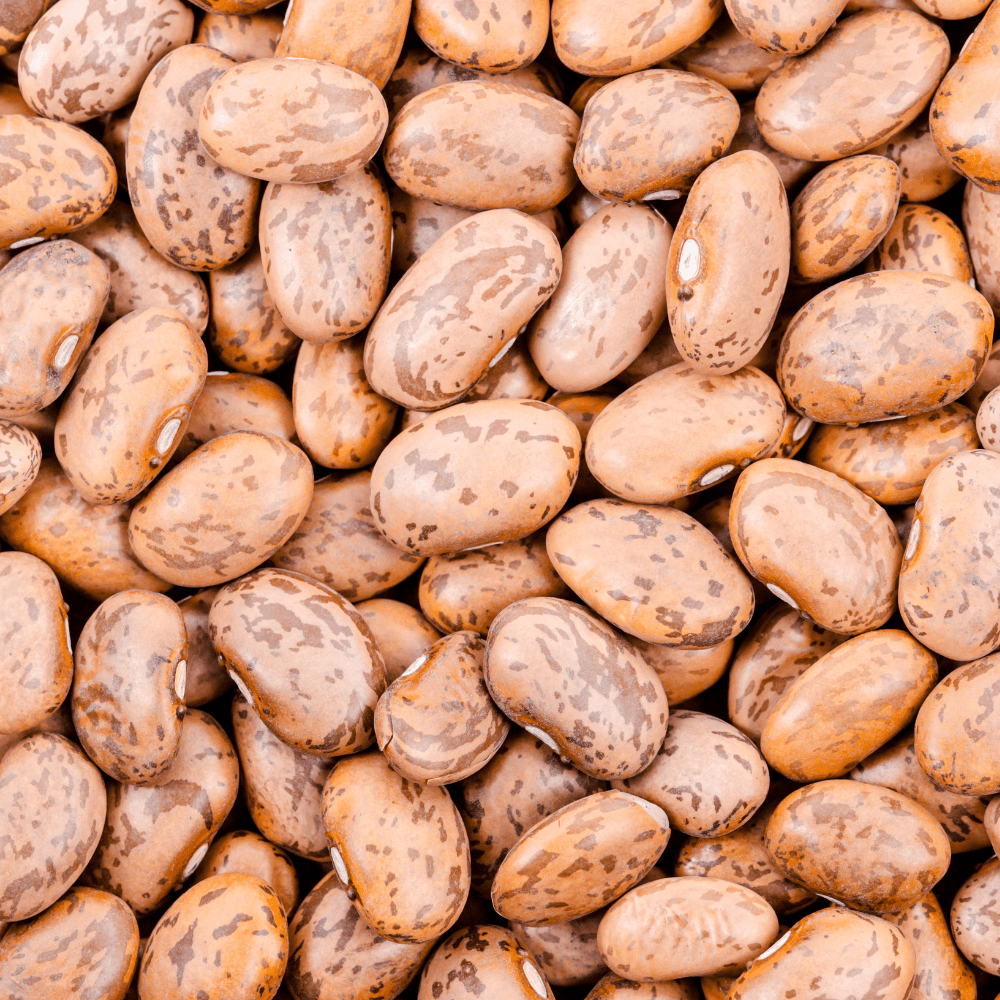 Kashmiri Cranberry Beans, Thull Rajma Seeds