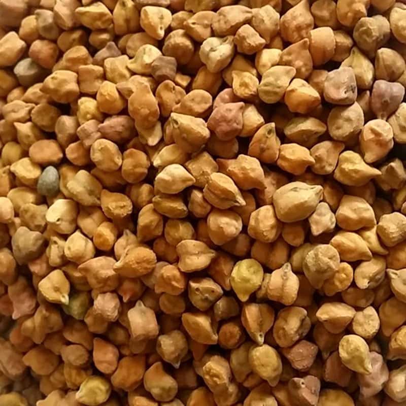 Chickpeas brown Seeds