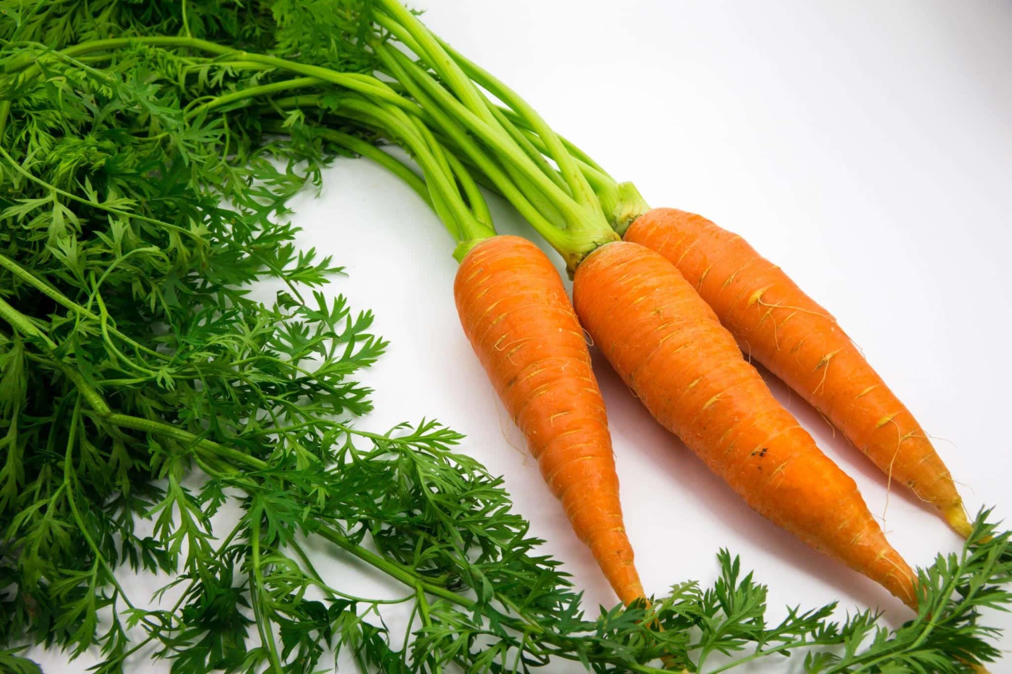 Orange Carrot Seeds