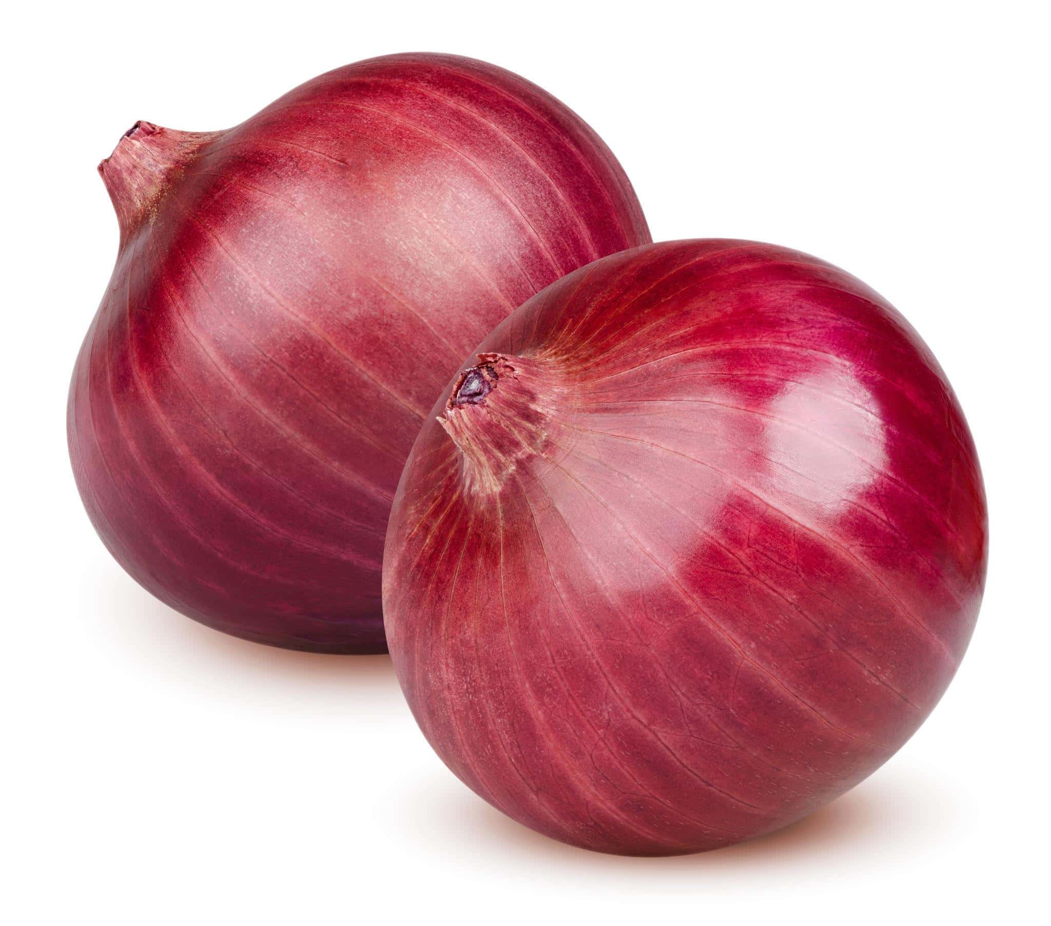 Onion selection red Seeds