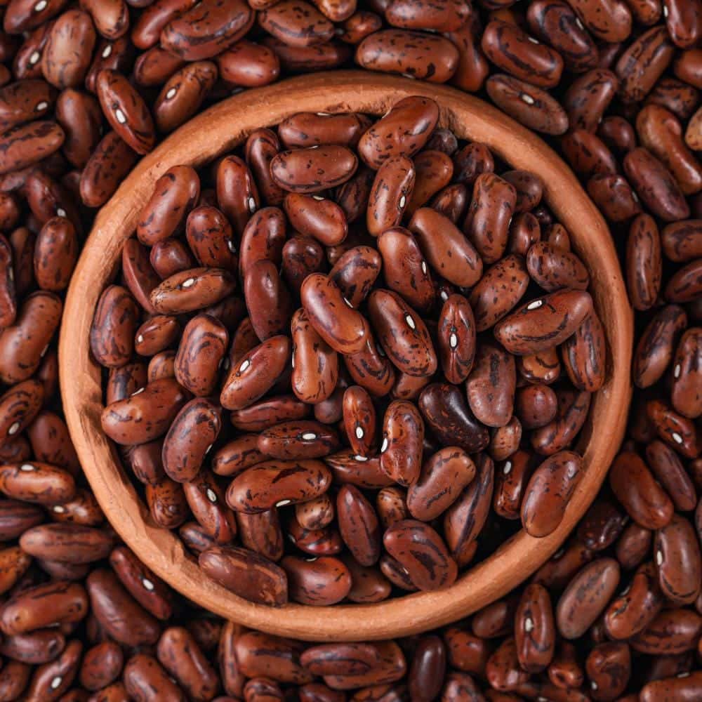 Rajma red variegated beans Joshimathi Seeds
