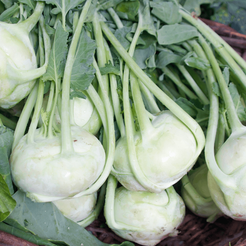 Kohlrabi early white vienna Seeds