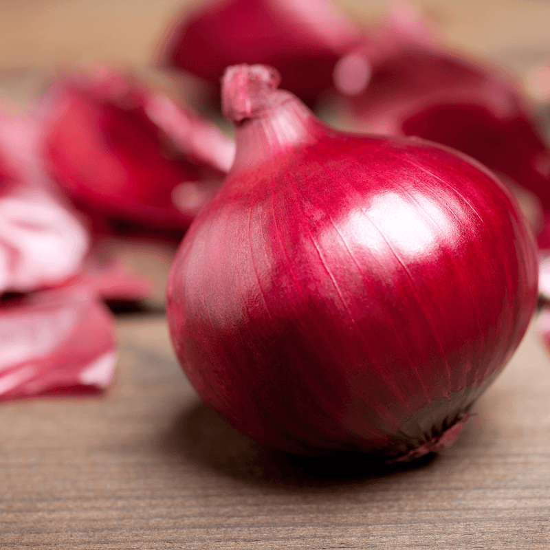 Onion Pusa red Seeds