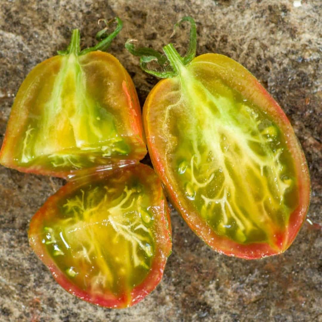 Tomato Kozula-132 Seeds