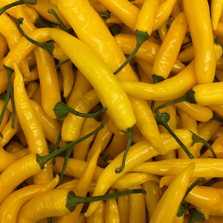 Yellow chili pepper Seeds