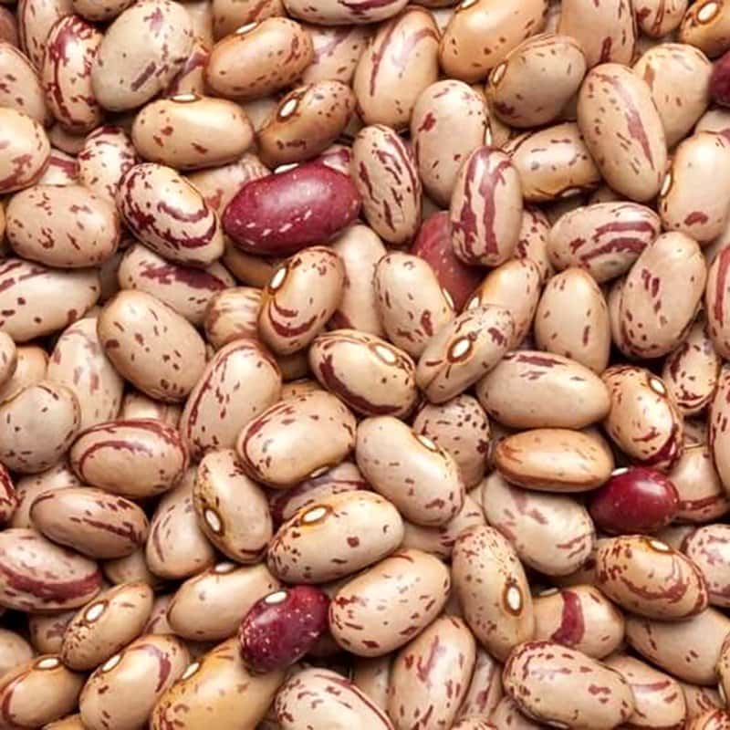 Rajma beans Chitra (pinto) Seeds