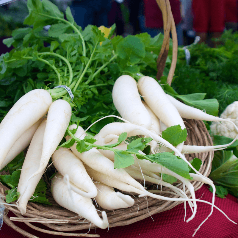 White Radish (Daikon Radish) Seeds