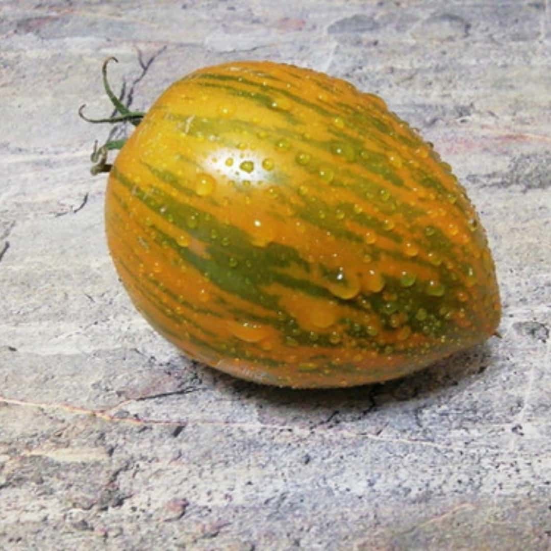 Tomato kozula 148 Seeds