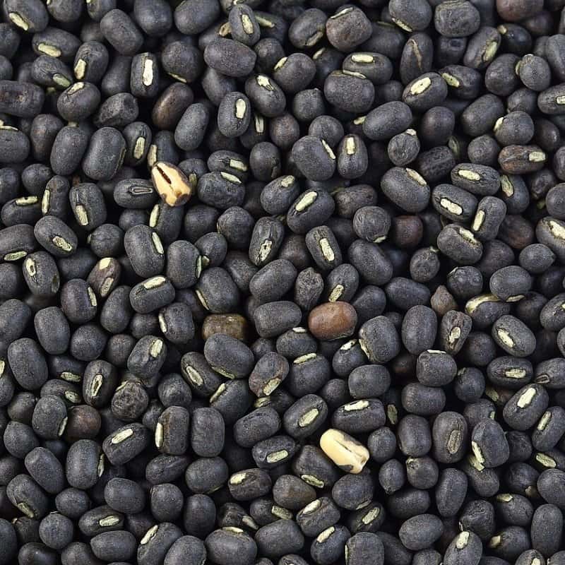Black Kali moong dal Seeds