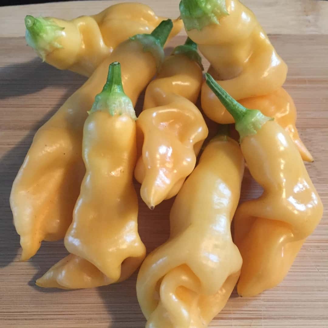 Hot pepper Sugar Rush Peach Seeds