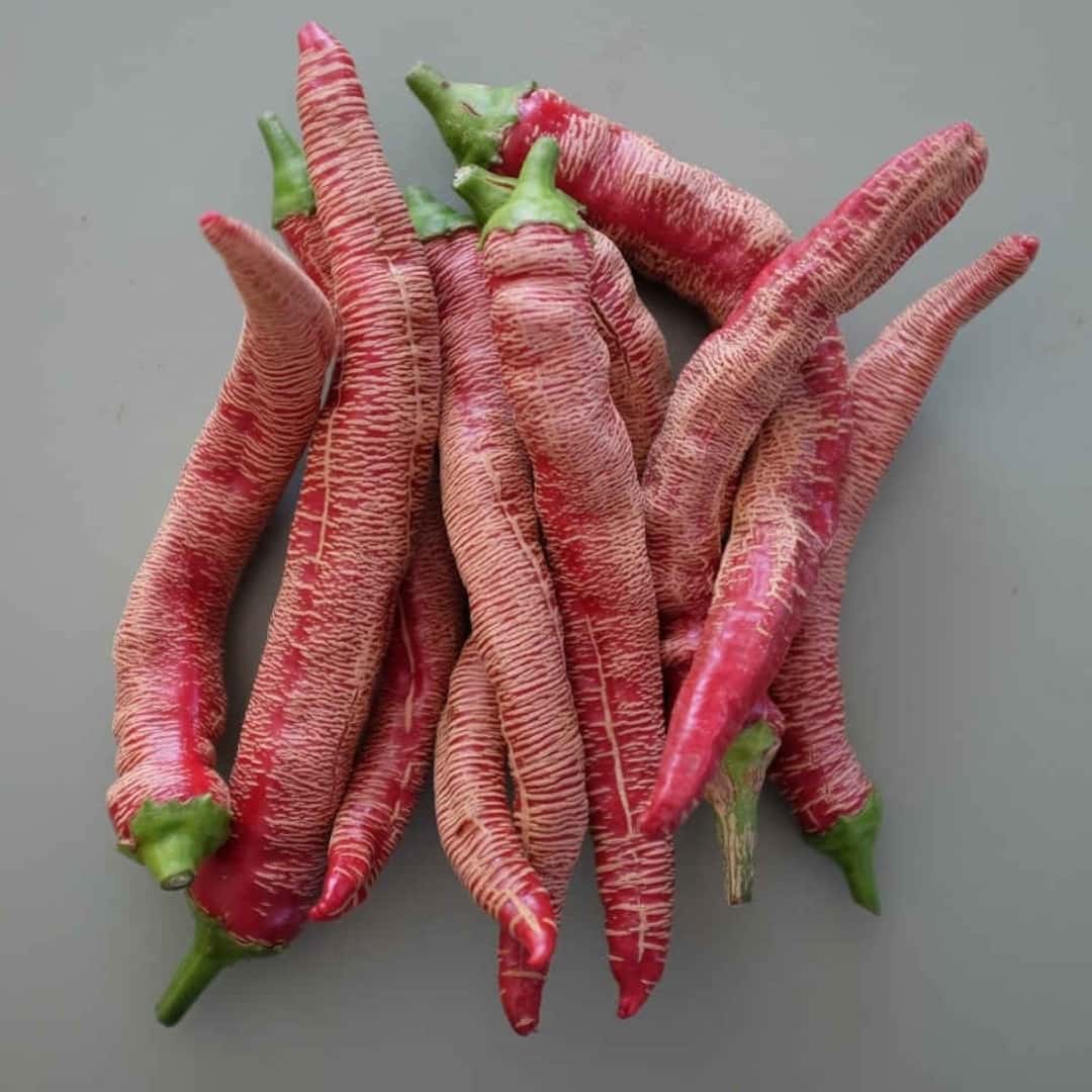Hot pepper Rezha Macedonian (Vezena Piperka) Seeds