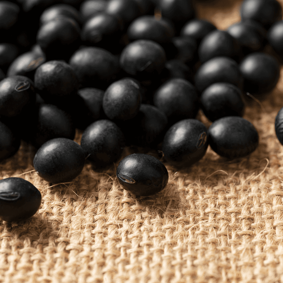 Black soya bean Kala Bhatt Seeds