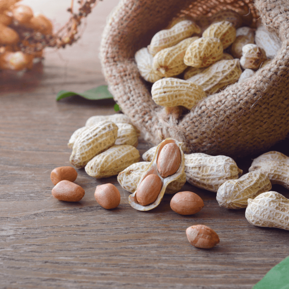 Peanuts seeds agrotechnic growing guide
