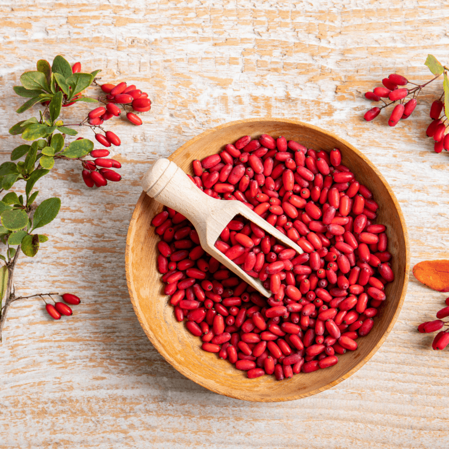 Barberis seeds agrotechnic growing guide