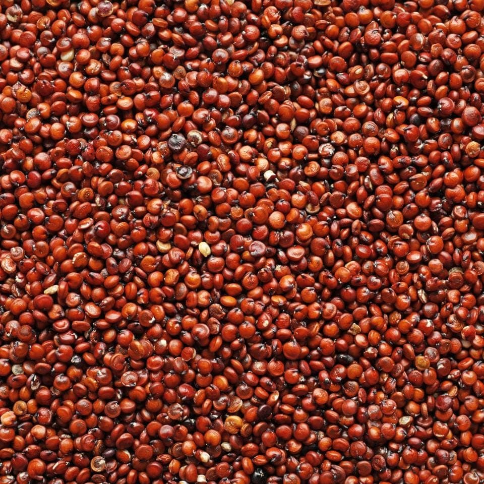 Quinoa red Seeds