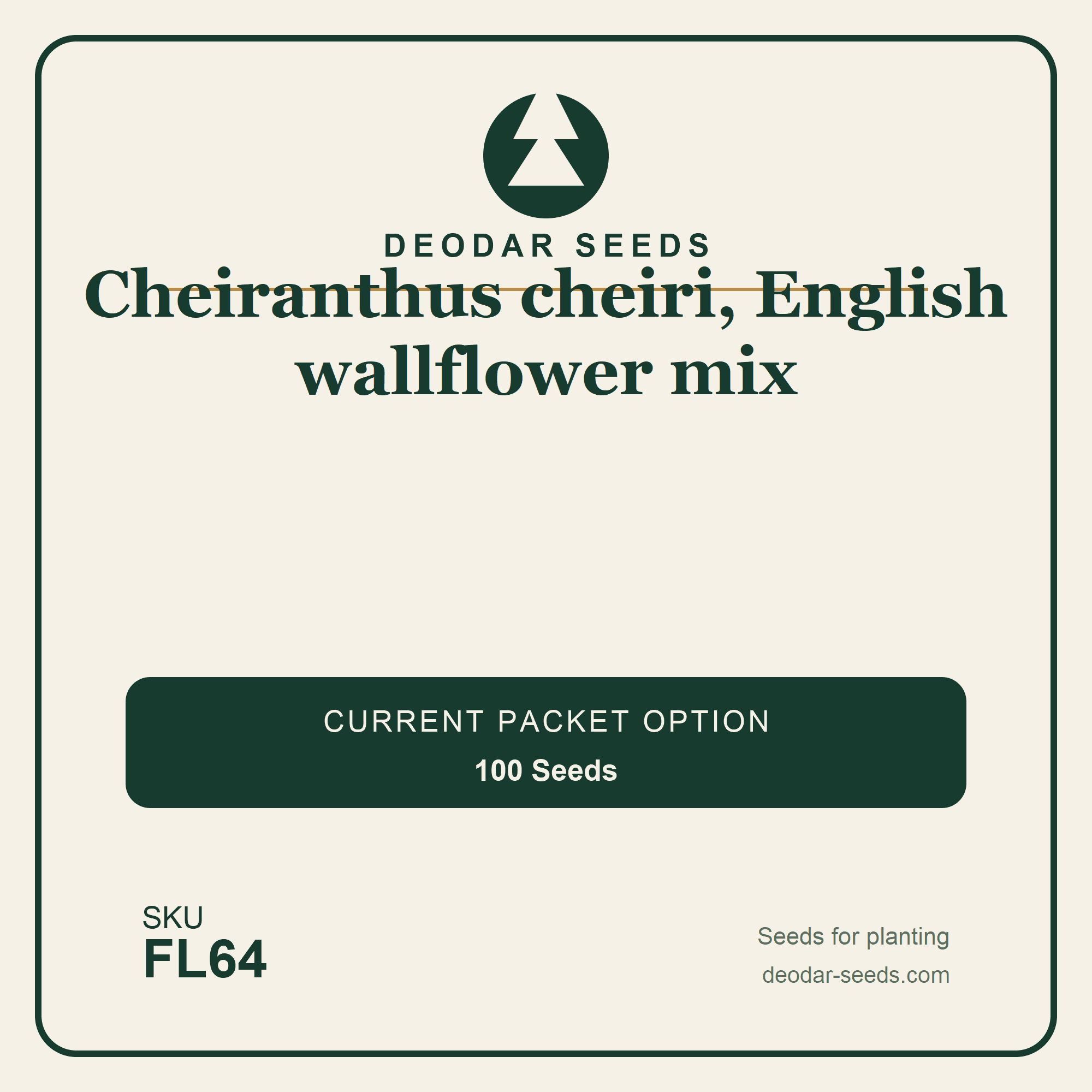 Cheiranthus cheiri, English wallflower mix Seeds