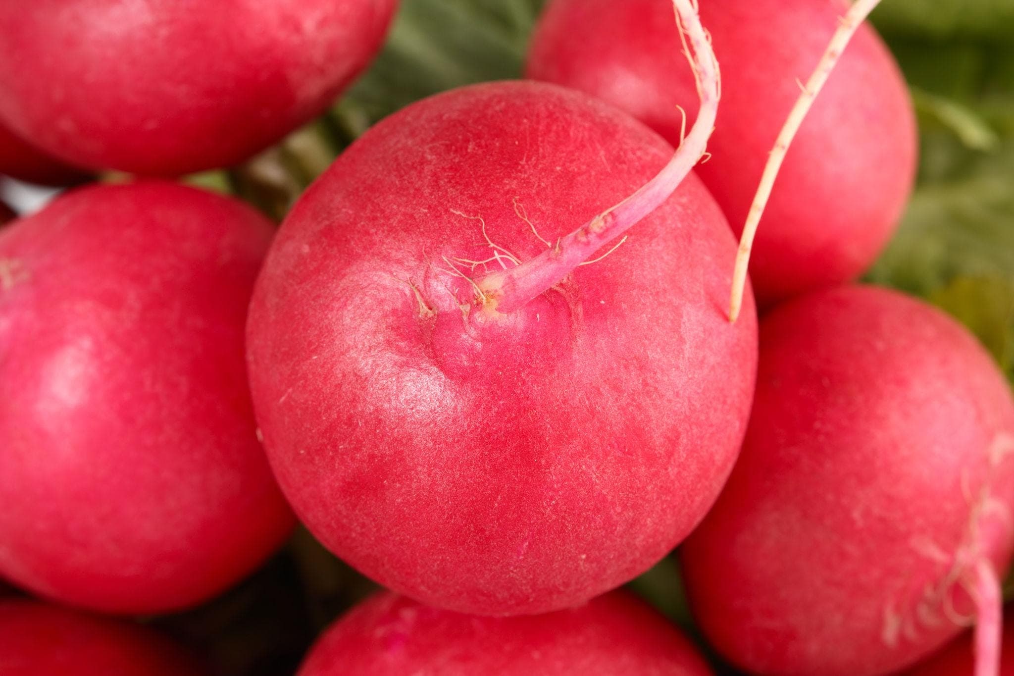 Cherry Red Round Radish Seeds