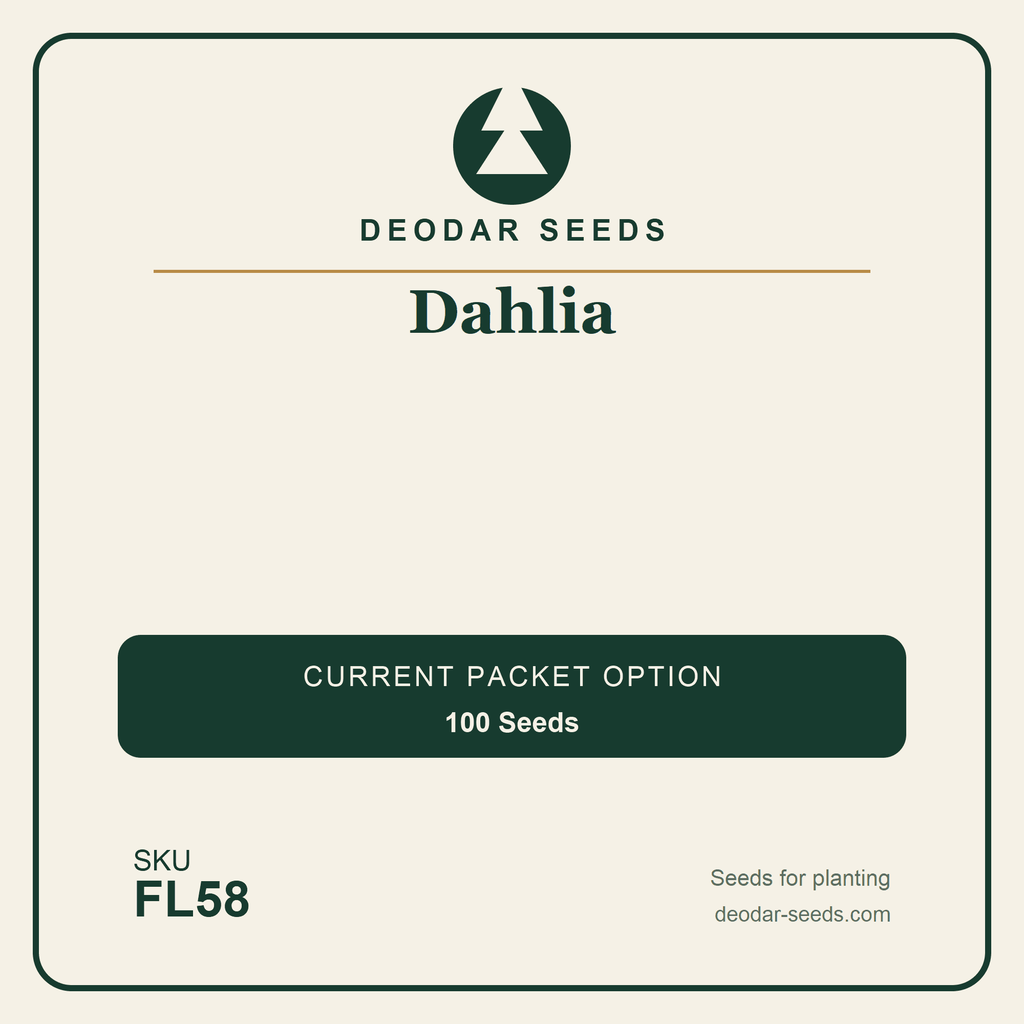 Dahlia Seeds