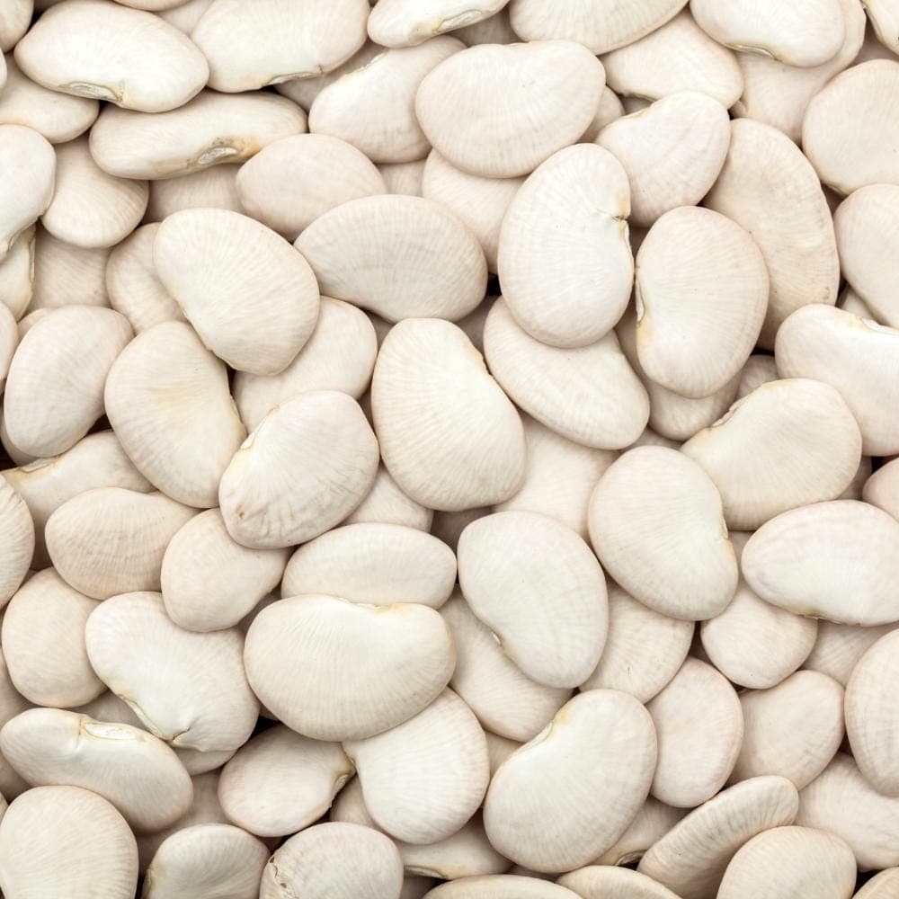 Lima big white beans Seeds