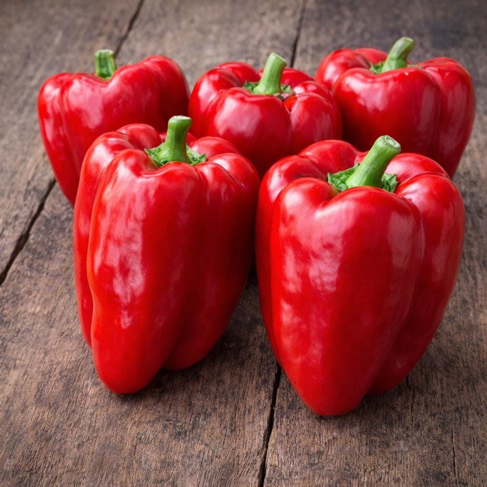 Sweet red pepper Seeds