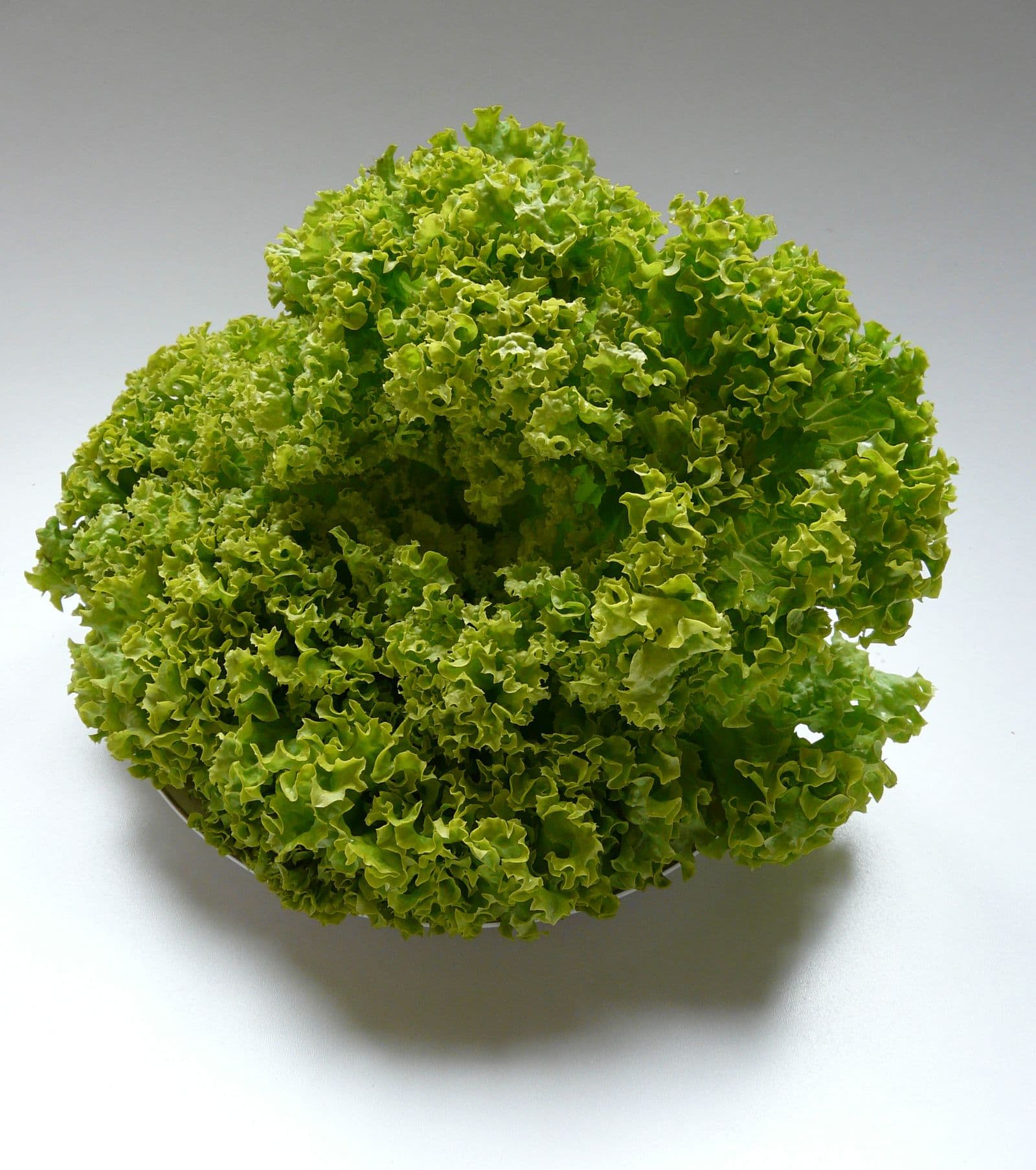 Lollo Bionda Lettuce Seeds