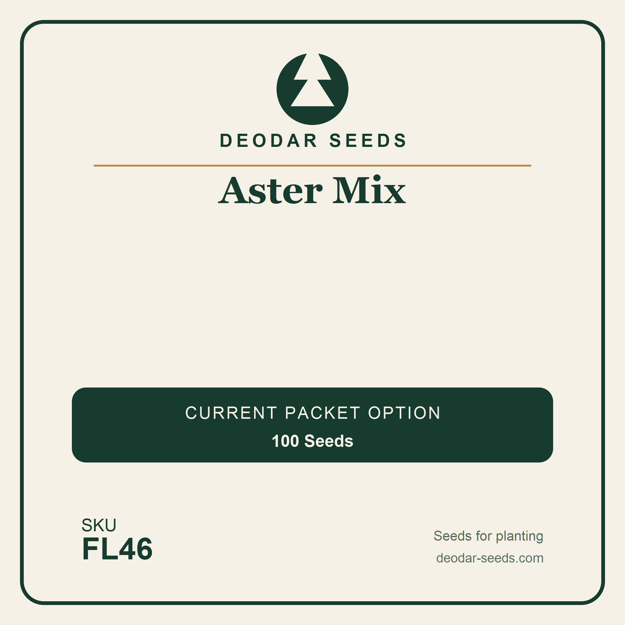 Aster Mix Seeds