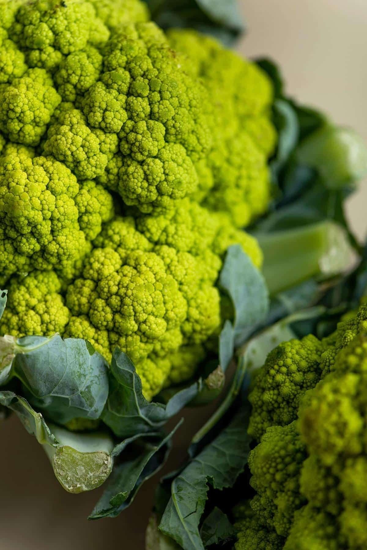 Cauliflower green, Broccoli Seeds