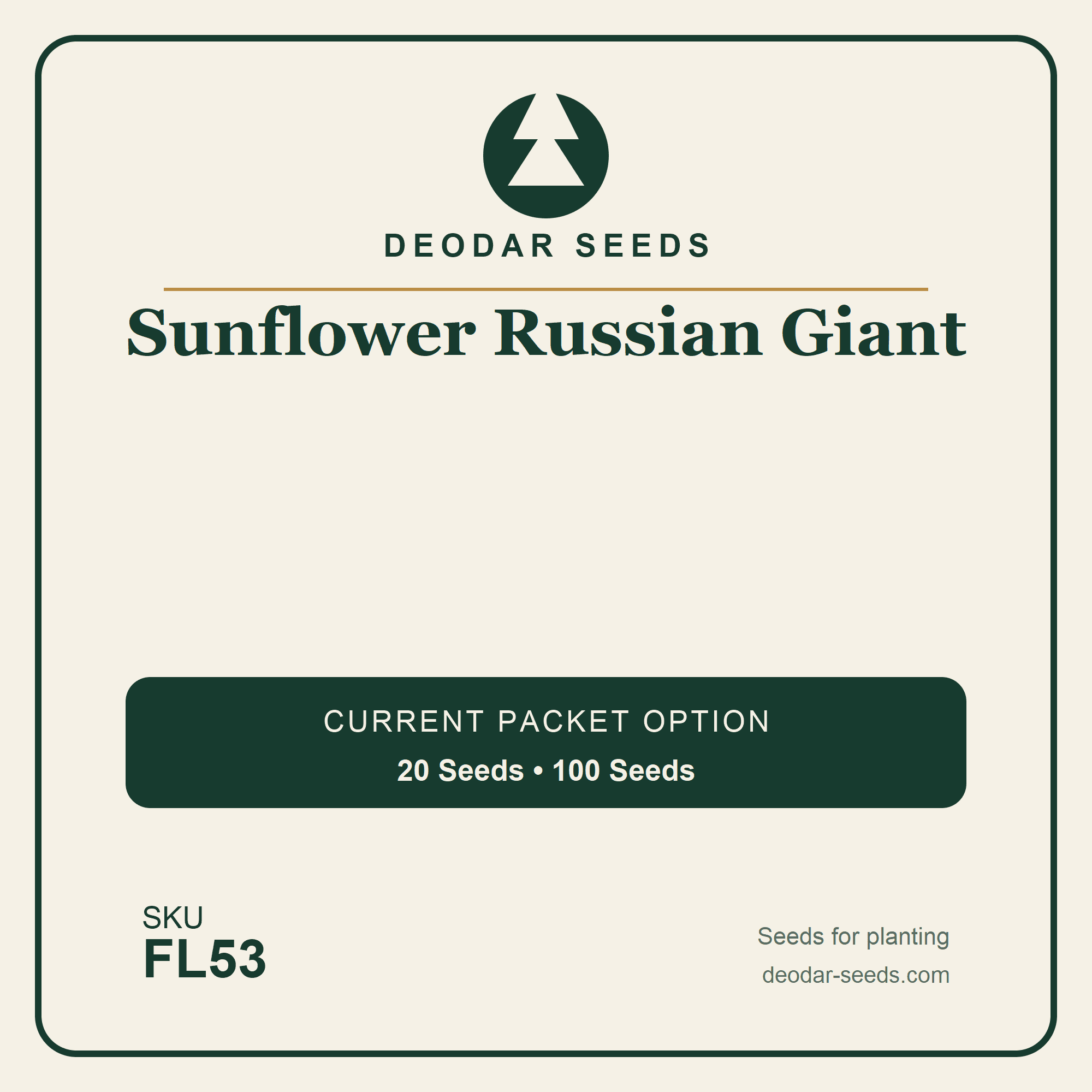 Sunflower Russian Giant Seeds