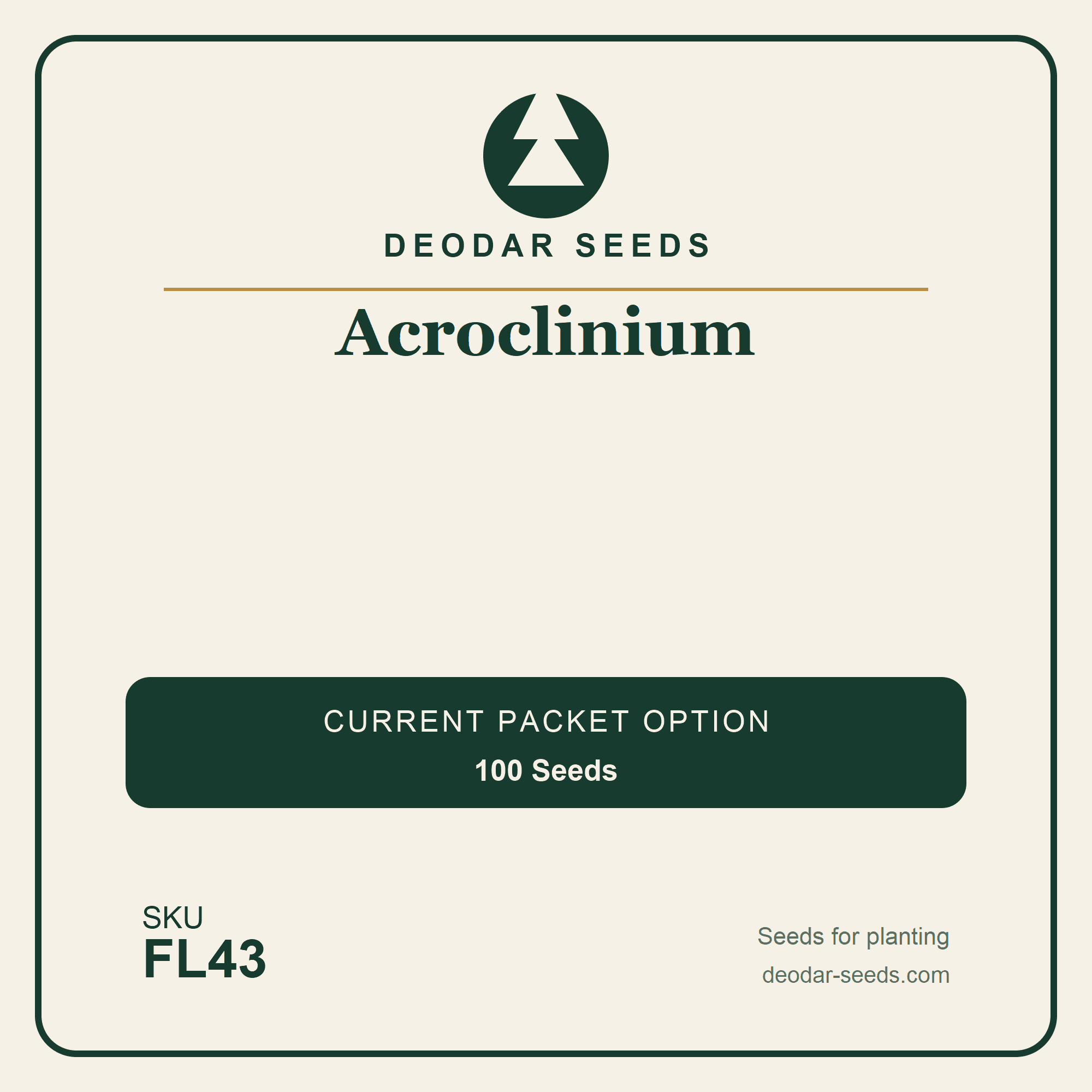 Acroclinium Seeds