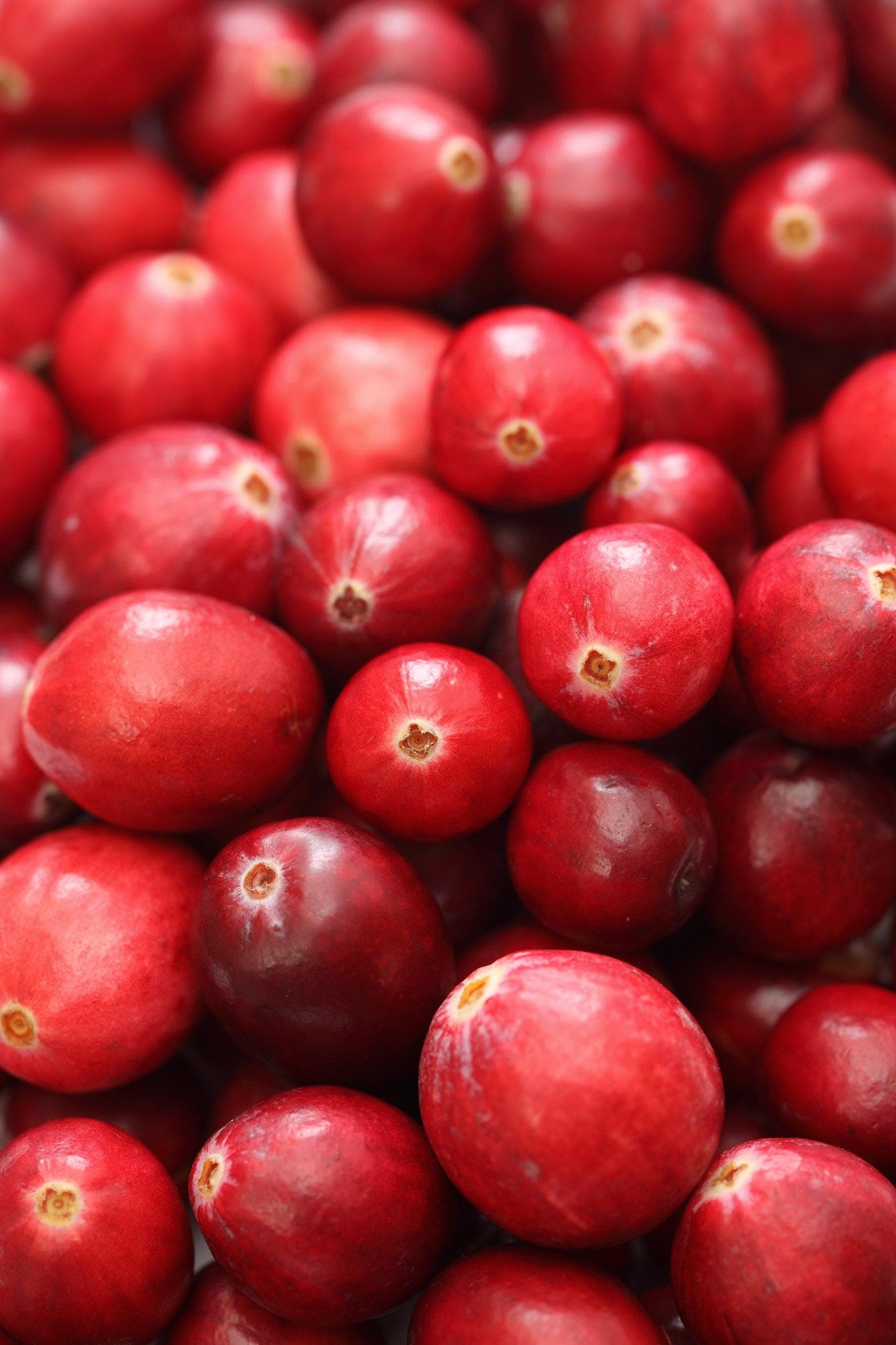 Cranberry Seeds