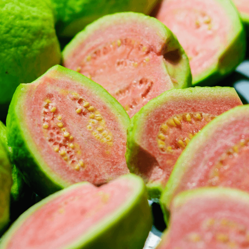 Guava, Amrud Allahabadi Seeds