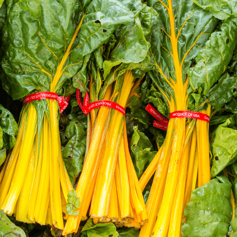 Yellow Swiss Chard, Mangold Seeds