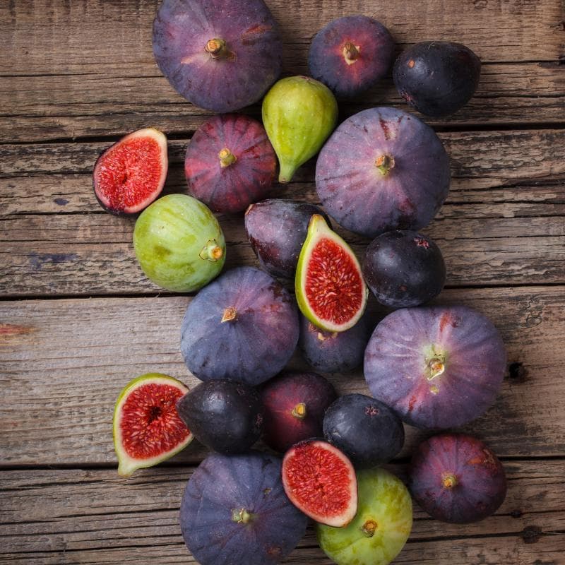 Himalayan Fig, Punjab fig Seeds