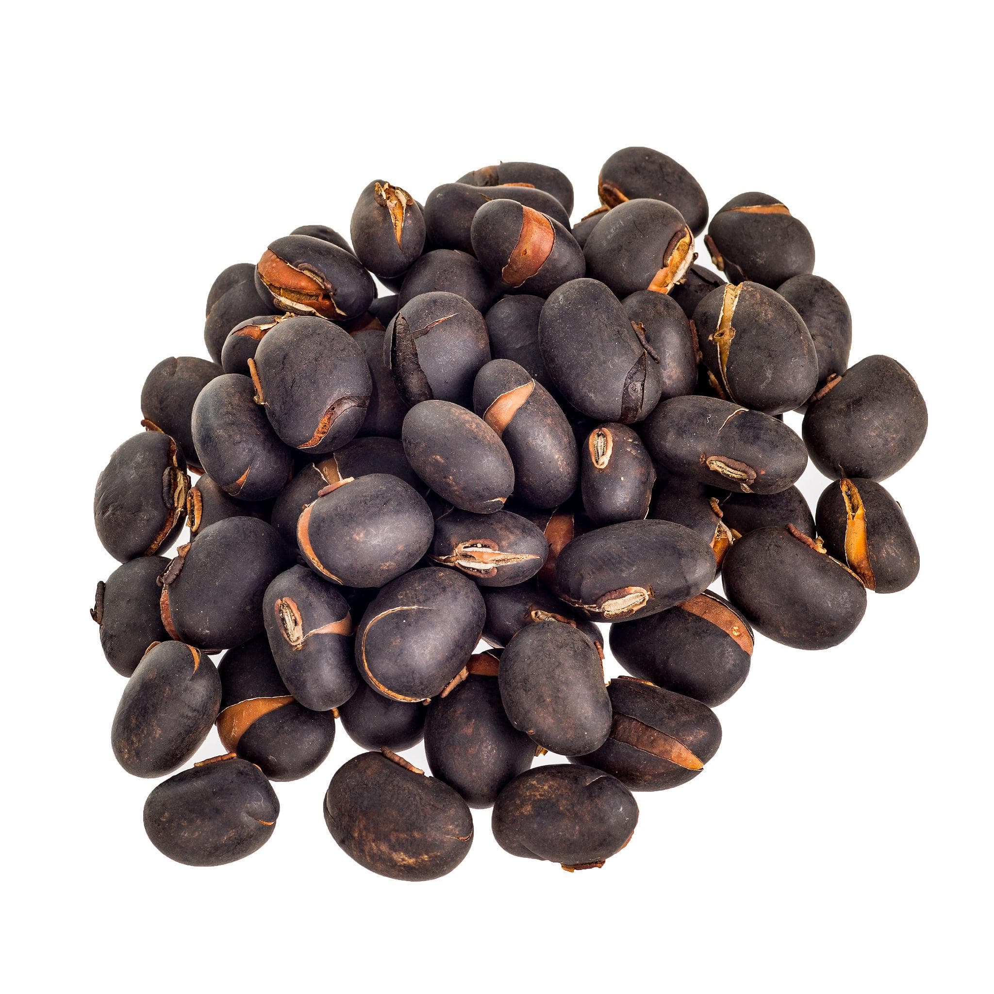 Mucuna pruriens, Velvet bean Seeds — product photo 14