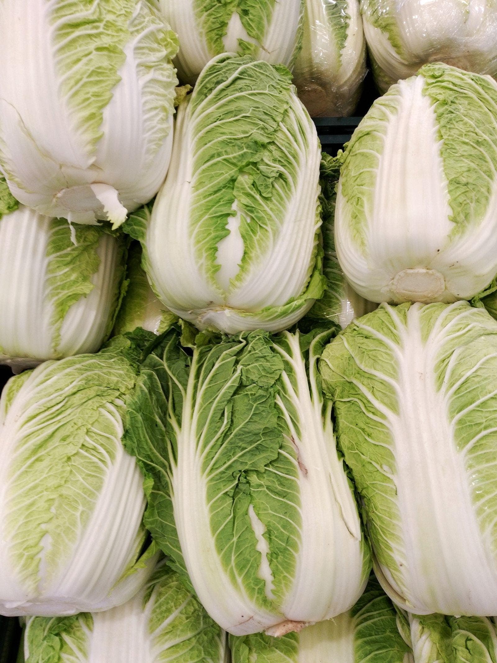 Napa Chinese Cabbage Seeds