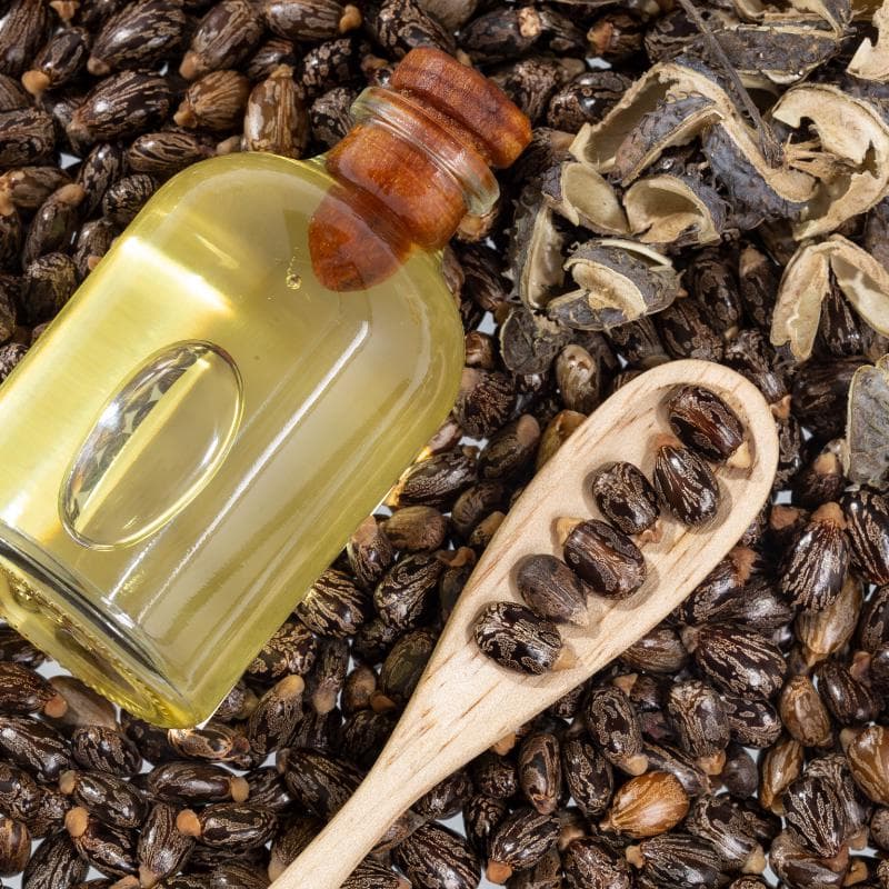 Castor bean Seeds — product photo 4
