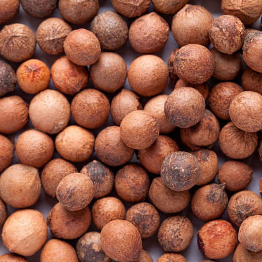 White Sandalwood Seeds