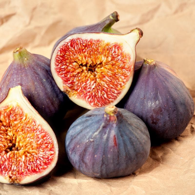 Himalayan Fig, Punjab fig Seeds — product photo 5
