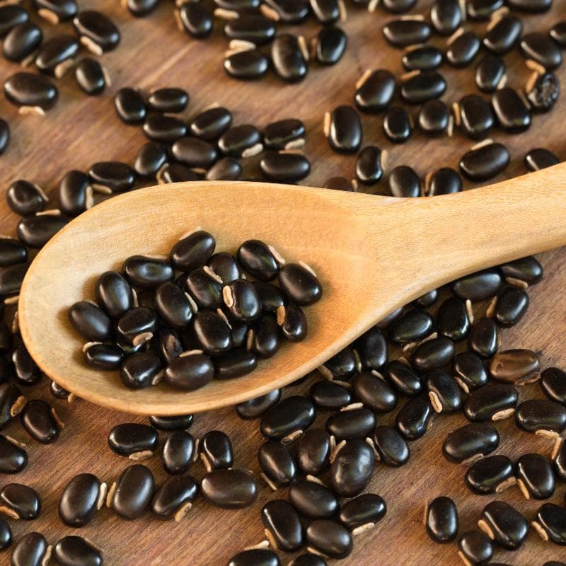 Mucuna pruriens, Velvet bean Seeds