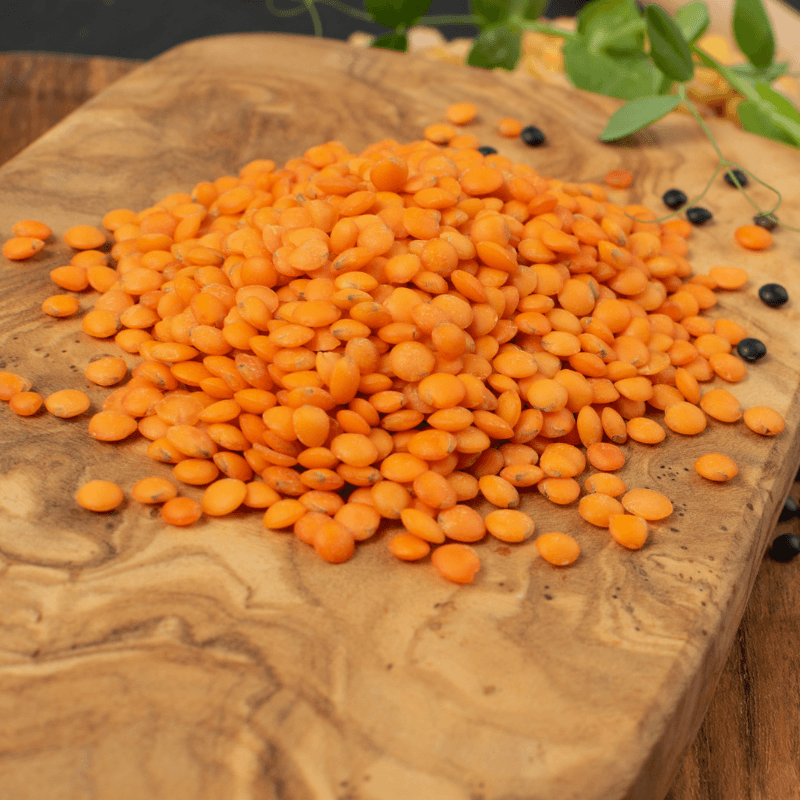 Red lentll Seeds plant