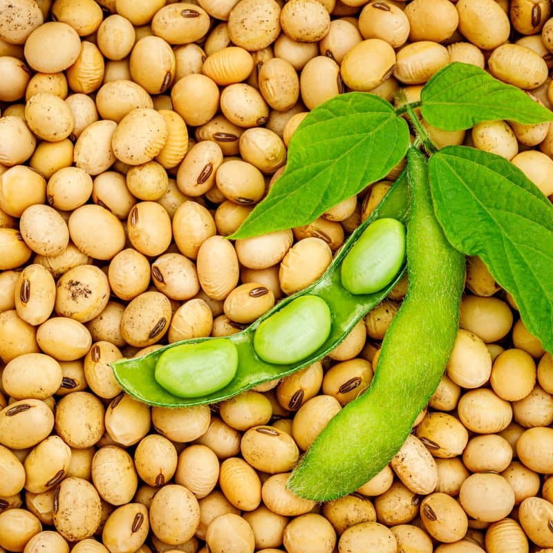 Edamame soya beans