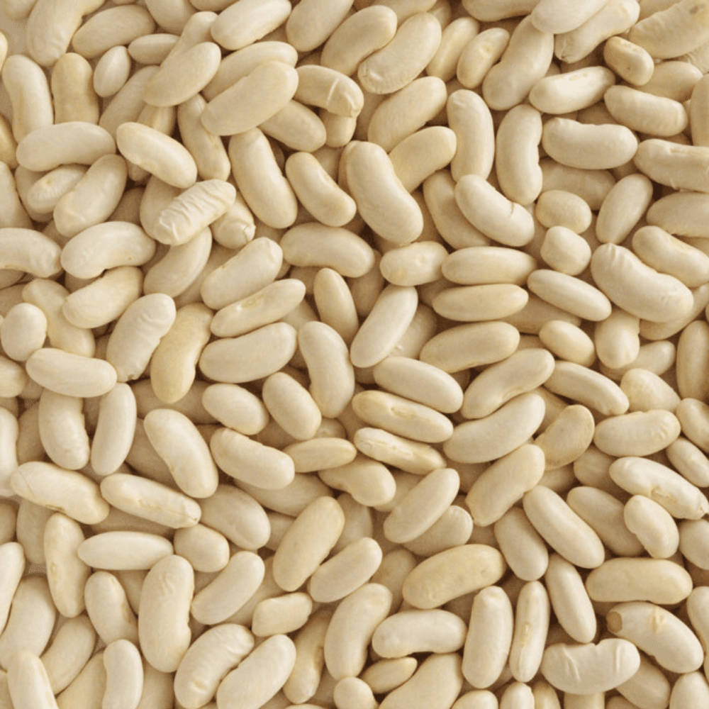 Himalayan Munsyari Rajma (Munsyari Kidney beans) white - yellow