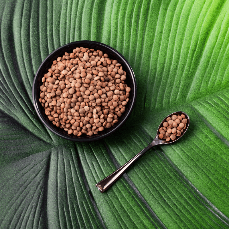 Brown Lentils Pardina, Masur dal Seeds