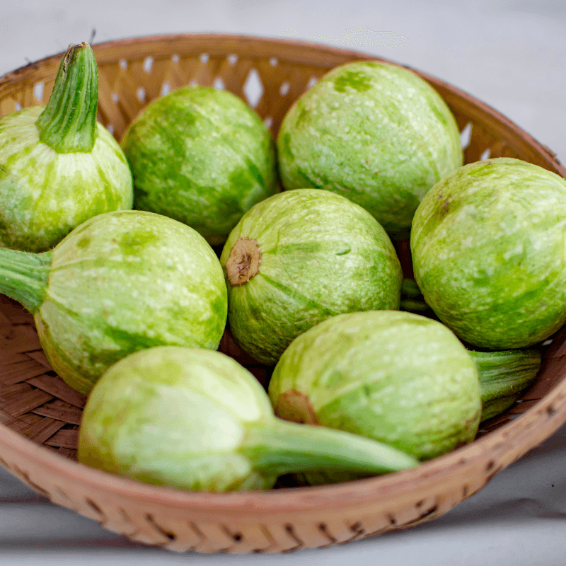 Chappan kaddu (Indian summer squash)