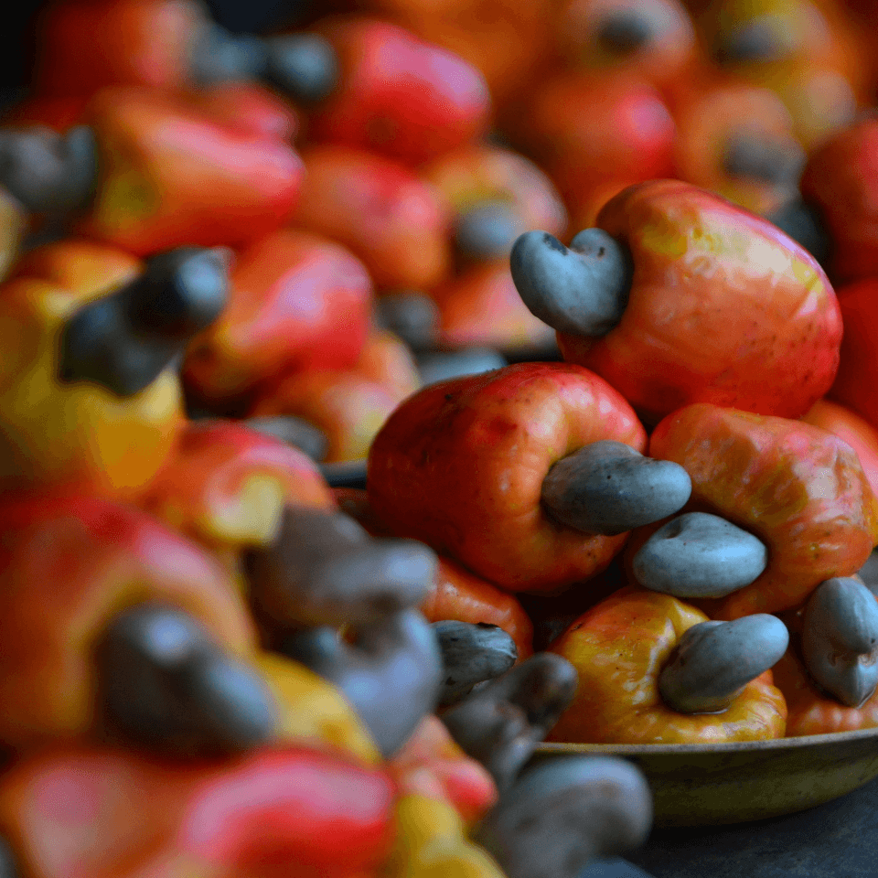 Cashew Seeds (Anacardium occidentale)