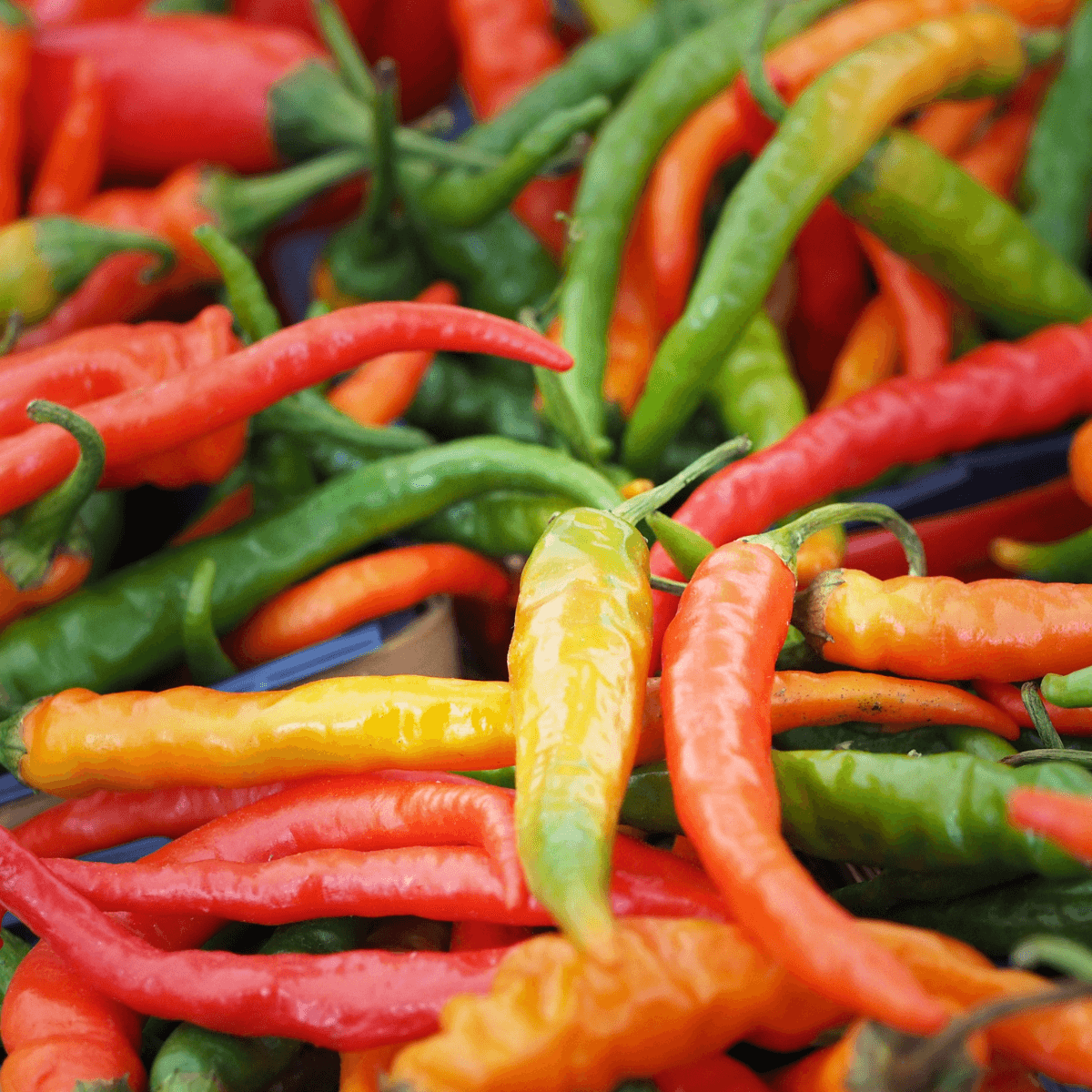 Hot pepper Tsitsak