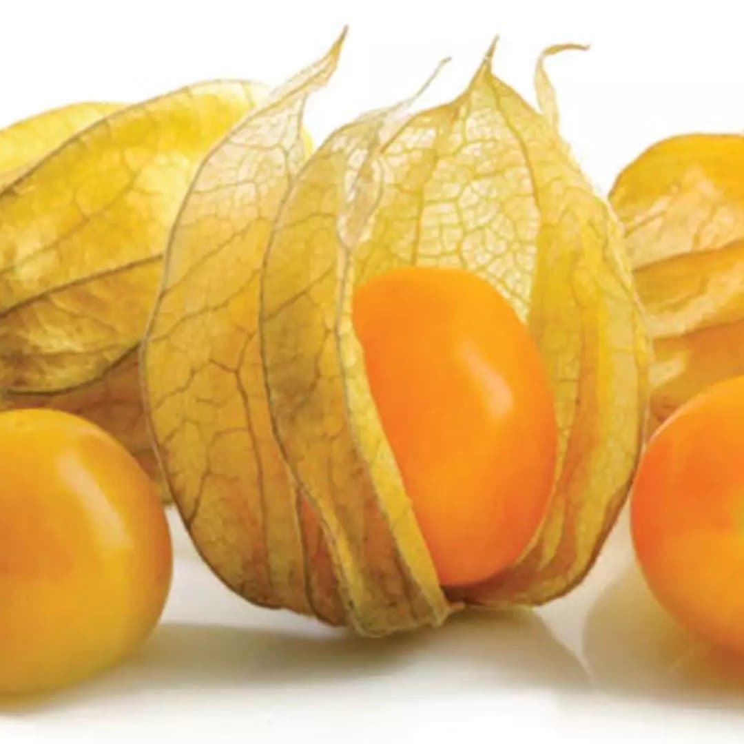 Physalis yellow sweet